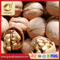 New Crop Best Quality Walnut Kernels